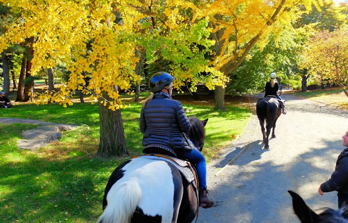 Our anniversary helicopter ride Horseback Riding in Central Park - NewYork.com.au