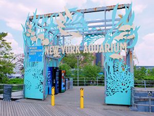 New York Aquarium