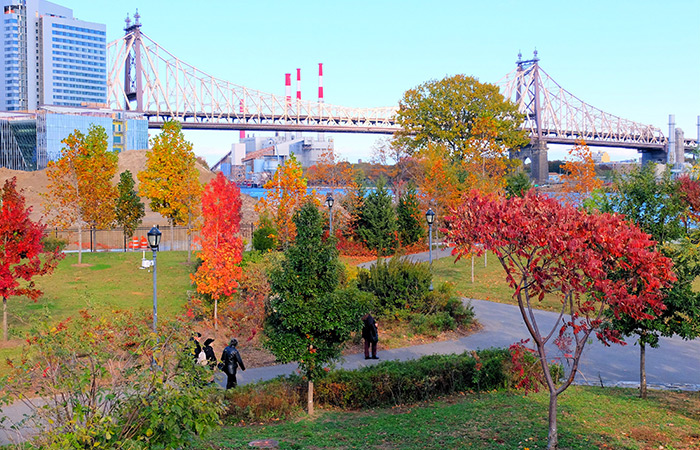 Roosevelt Island in New York - NewYork.com.au Roosevelt Island in New York - NewYork.com.au