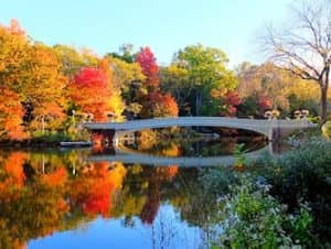 Central Park Movie Sites Walking Tour - Bow Bridge