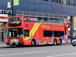 Gray Line Hop on Hop off bus in New York